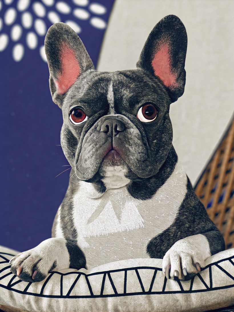 Illustrated portrait